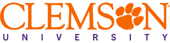 client image